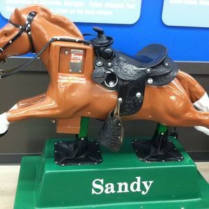 Meet your Posher, Sandy